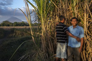 Walter Arsenio Rivera, 29, poses with his father, Antonio Arsenio Rivera, 58, in the cane fields of Chichigalpa, Nicaragua on Jan. 6, 2013. Both men suffer from chronic kidney disease. La Isla is dedicated to fighting the epidemic of kidney disease in Chichigalpa, Nicaragua. They work with health officials and researchers to provide better medical treatment for the sick and to study the causes of the epidemic.  They support and organize workers and their families through education programs, health initiatives, and economic development projects.  And we are committed to breaking the silence that shrouds this epidemic. 